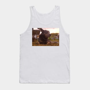 All Acd Tank Top